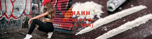 стаф Елизово