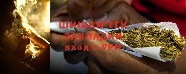 скорость Ельня