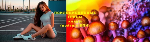 скорость Ельня