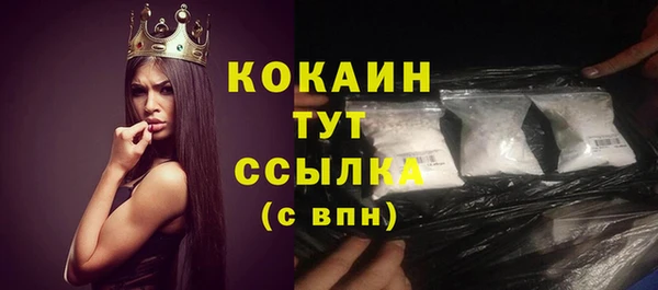 стаф Елизово