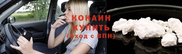 прущие грибы Заволжье