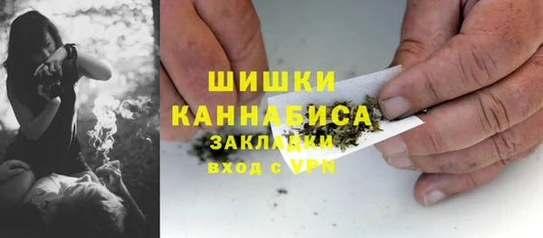 стаф Елизово