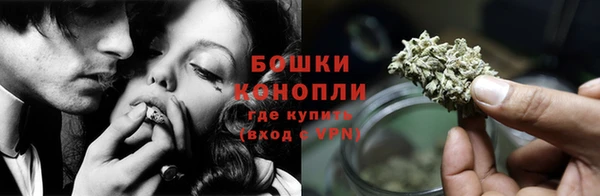стаф Елизово