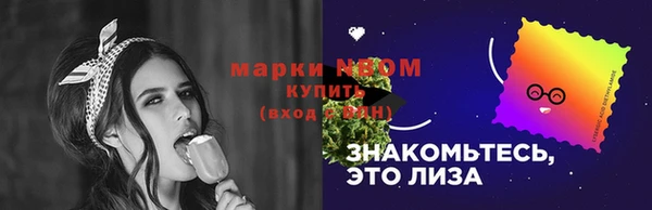 скорость Ельня