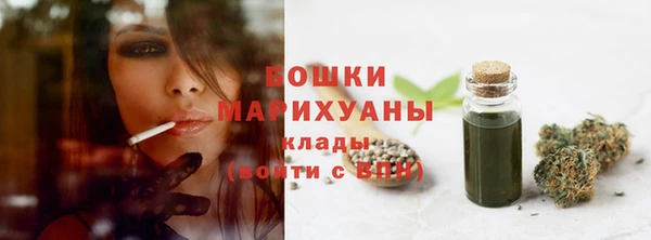 скорость Ельня