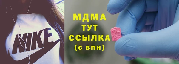 стаф Елизово