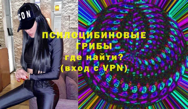 прущие грибы Заволжье