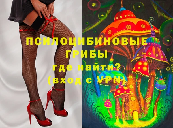 стаф Елизово