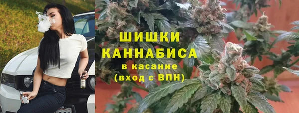 стаф Елизово