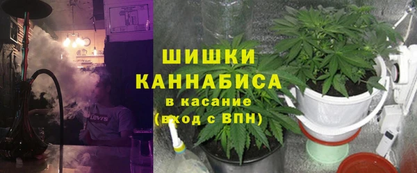 скорость Ельня