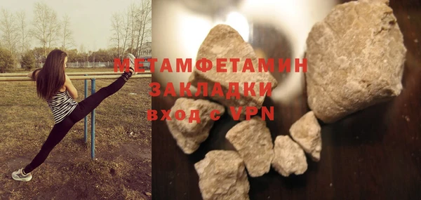 прущие грибы Заволжье
