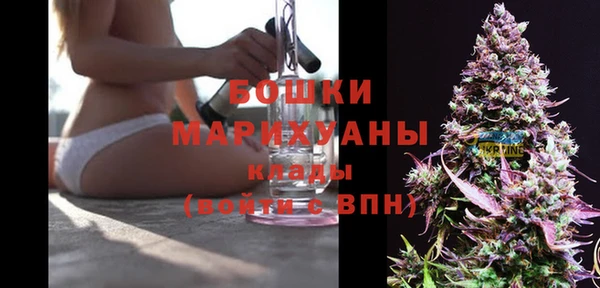 скорость Ельня